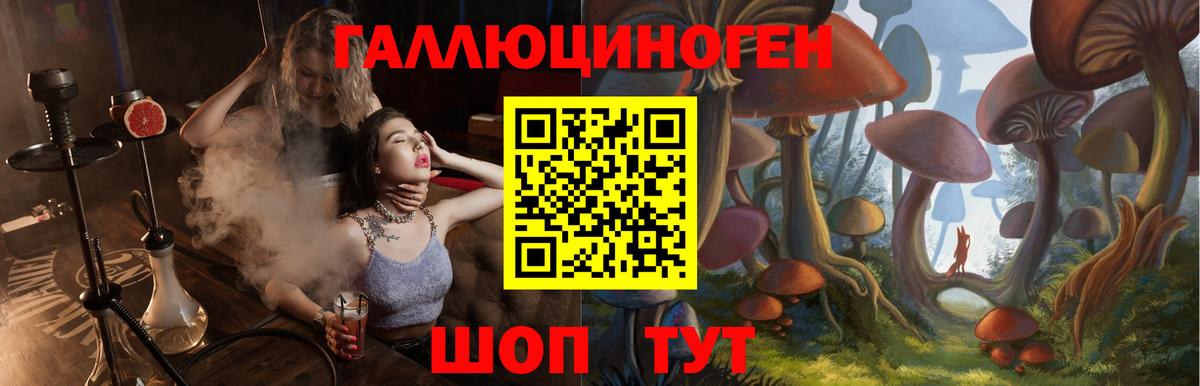 Псилоцибиновые грибы Magic Shrooms  где продают наркотики  Галлюциногенные грибы Psilocybine cubensis  Ноябрьск  Вход с VPN 