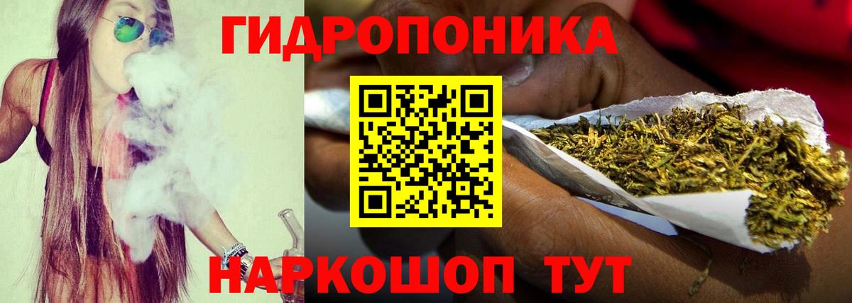 Конопля AK-47  Вход с VPN  Шишки марихуана White Widow  Ноябрьск  Марихуана Amnesia  Марихуана семена 